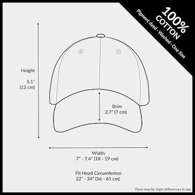 NOT DEAD YET Veteran Dad Hat
